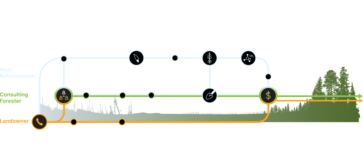carbon-financing