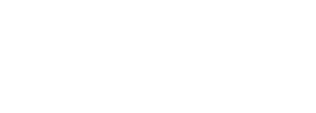 mast-logo-white-modifier