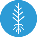 seedlings-icon