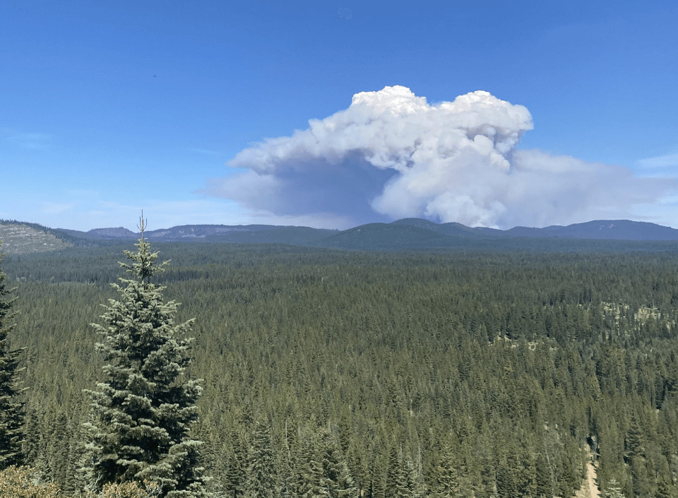 forest-fire-2